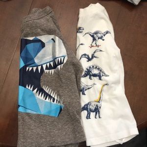 2T Dino shirts